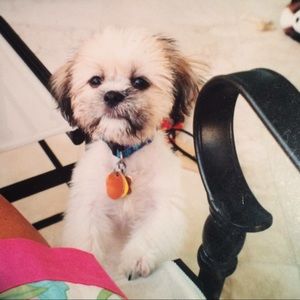 Meet your Posher, Francesca